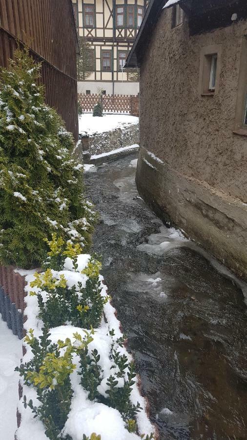 Harz Stolberg Ferienwohnung Buitenkant foto